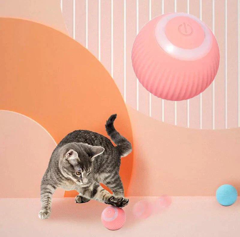 Interactive Pet Toy Ball