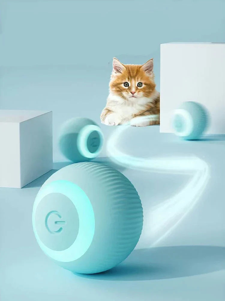 Interactive Pet Toy Ball