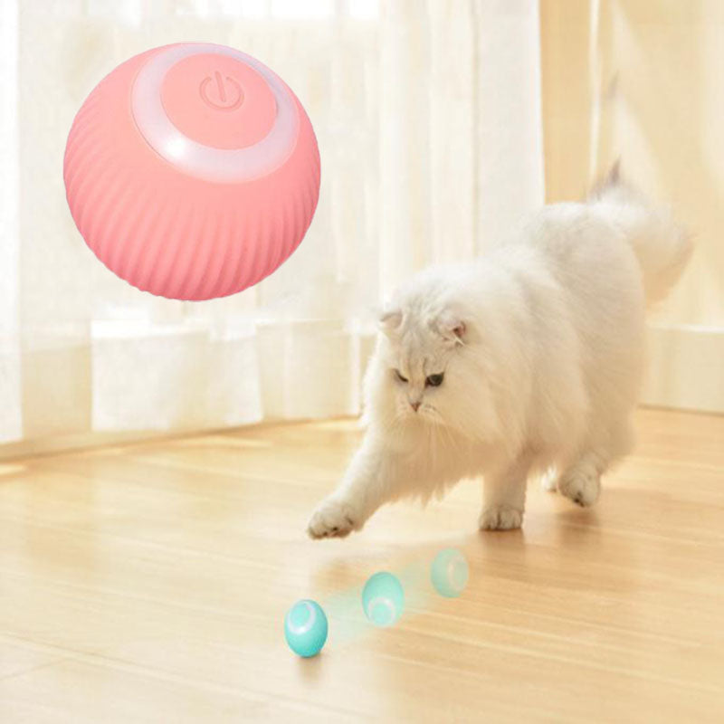 Interactive Pet Toy Ball