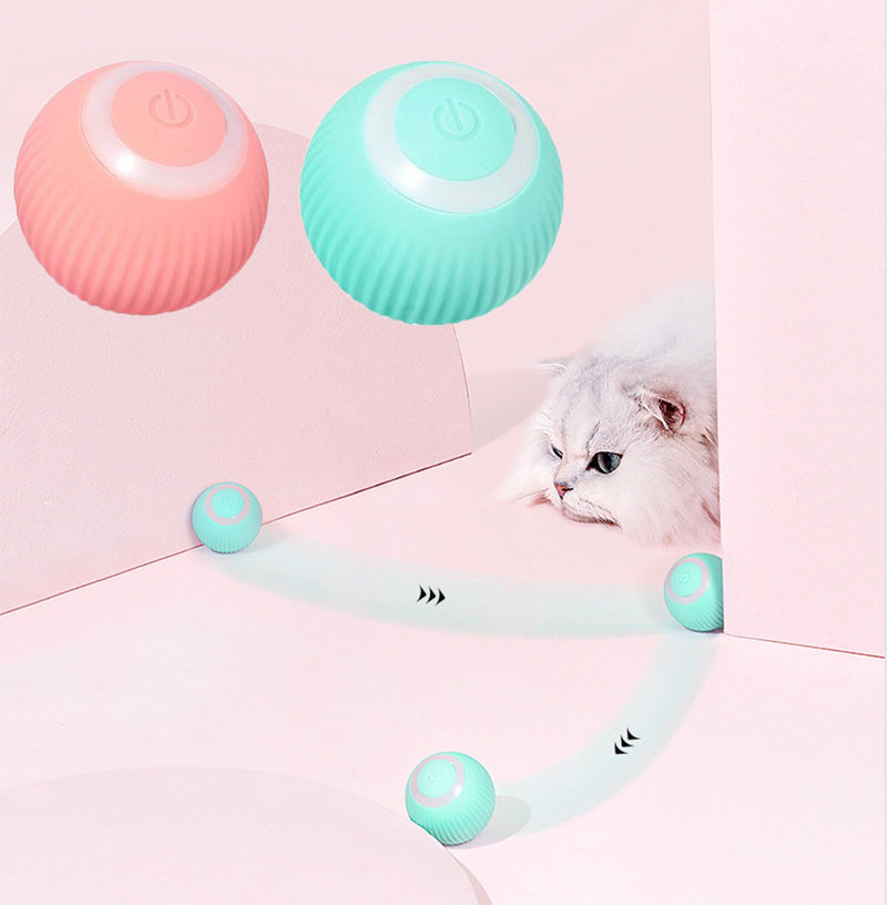 Interactive Pet Toy Ball